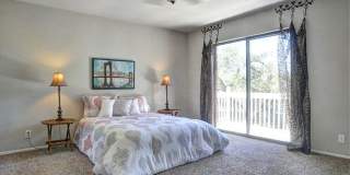 4411 WESTERN PINE WOODS Gallery 14