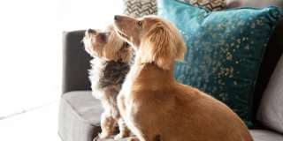 Compass at City Center Gallery 20