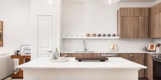 Sonora Gallery 14