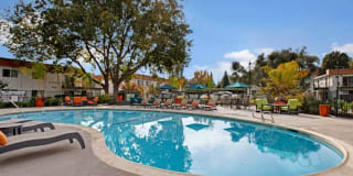 The Davenport Apartment Homes Gallery 3
