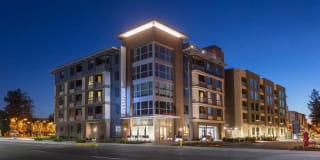 The Standard The Standard Gallery 33