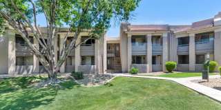 Reflections at Gila Springs Gallery 46