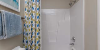 Ashley Oaks Apartments Gallery 54