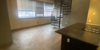 Mitchell Park Plaza Gallery 12