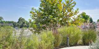 Vela Apartments Gallery 87