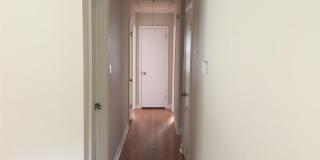 5433 Dolphin Lane Gallery 6