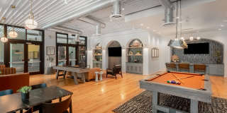 Can Plant Gallery 7