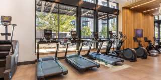 Broadstone Riva Gallery 20