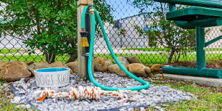 Bella Ridge North Gallery 56