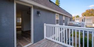 Adar at Golden Gate Gallery 4