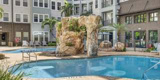 Novus Westshore Novus Westshore Gallery 2