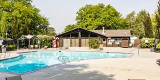 2 bedroom apartment for rent! 1/2 off first month rent Gallery 1