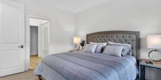 Doheny Beach Gem Gallery 15