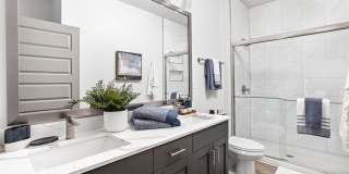 The Steadman Apartments Gallery 9