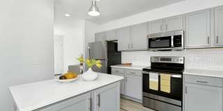 NOVO Avian Pointe Gallery 38