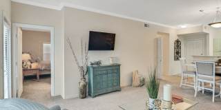 Springfield Apartments Gallery 10