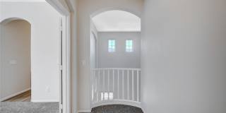 5139 Big Island Court Gallery 10