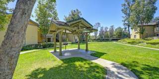 Elan Felicita Creek Elan Felicita Creek Gallery 10