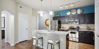 Platinum Shavano Oaks Gallery 23