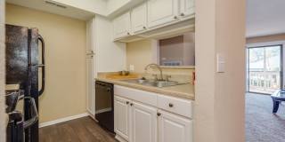 Aurella Cary Gallery 13