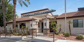 The Place At Wickertree Apartments Gallery 3