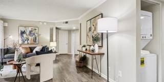 Vetra Chandler Gallery 27