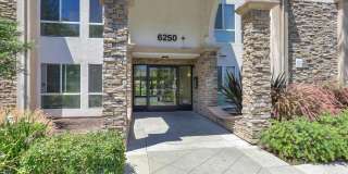 Santa Teresa Gallery 14