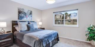 2274 N Indian Canyon Drive Gallery 16