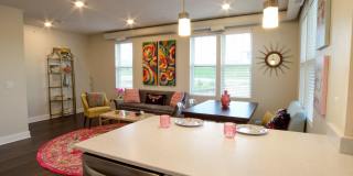 The Bungalows on the Lake - The View Gallery 111