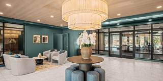 The Canopy Gallery 34