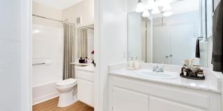 The Terrace Apartments Gallery 52