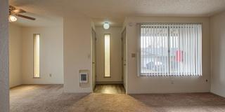 The Firs Gallery 6