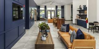 The Dorsey by Alta Gallery 32