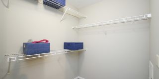 Hollow Tree Park Gallery 25