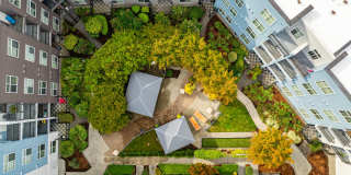 Chelsea at Juanita Village Gallery 42