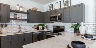 Montgomery at Rancho Mercado Gallery 5