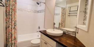 Charming Stetson Hills Home on a Quiet Cul-de-Sac! Gallery 17