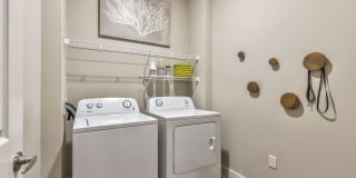 Vintage Amelia Island Apartments Gallery 50