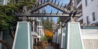Forest Hills Forest Hills Gallery 20