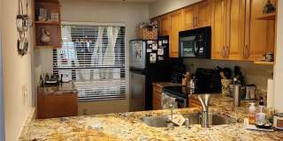 6291 BAHIA DEL MAR CIRCLE Gallery 9