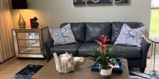 8784 PEBBLE CREEK LANE Gallery 8
