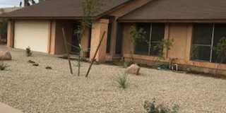 ++++COMING SOON++++3 Bedroom/2 bath home with large yard near Alma School & Warner Gallery 1