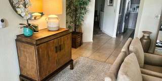 55504 Firestone Gallery 2