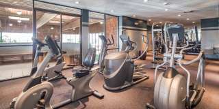 Raintree Apartments Gallery 35