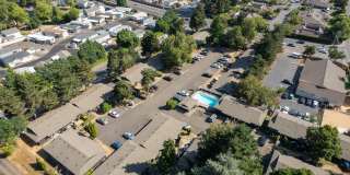 Pinewood Terrace Gallery 14