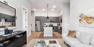 Cadia Millennium Gallery 6