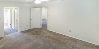 College Woods Gallery 47