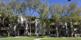 Avalon Campbell Gallery 27