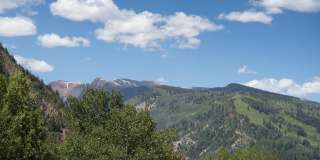 335 Vine Street unit: 335 Gallery 23