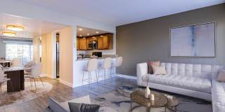 El Gato Penthouse Gallery 8